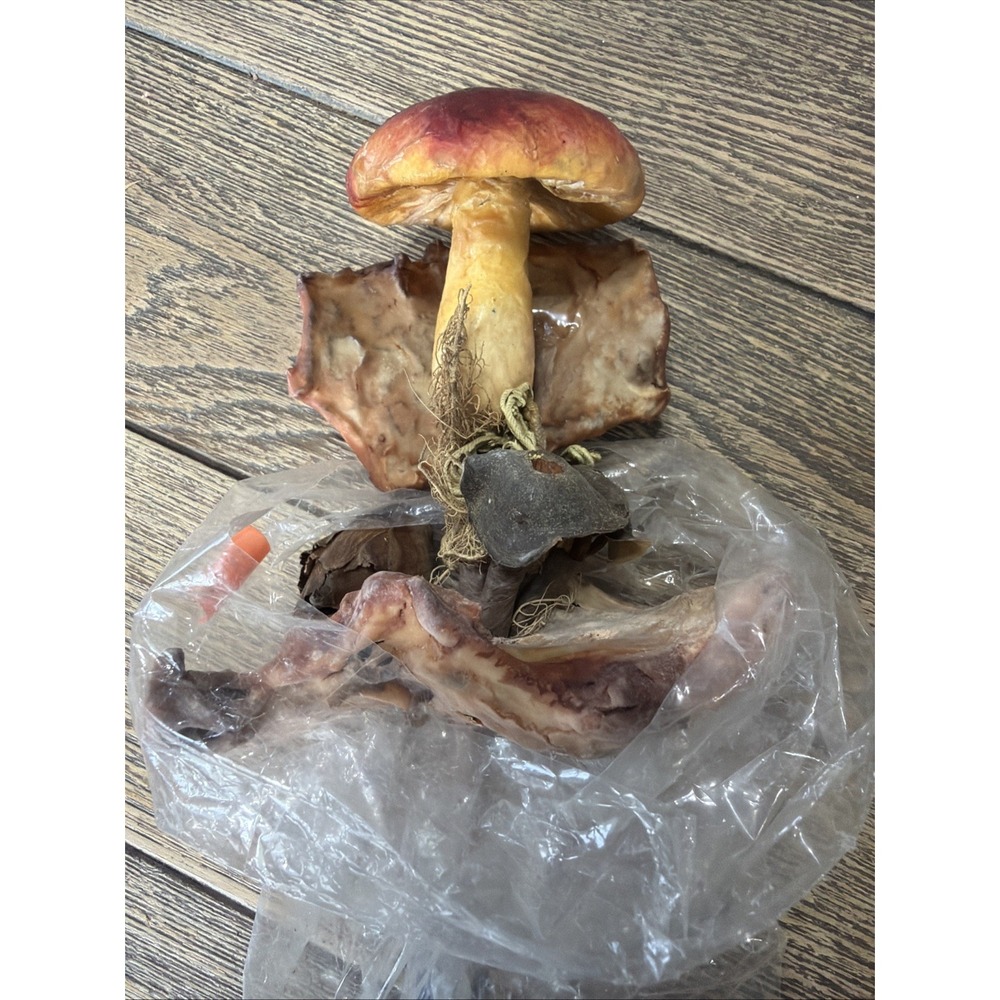 VTG Fairy House Mushroom Craft Accessory Handcrafted Old! Lark Silk